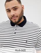 French Connection Plus Stripe Polo