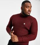 Le Breve Plus Heavy Ribbed Turtle Neck Sweater In Burgundy-red