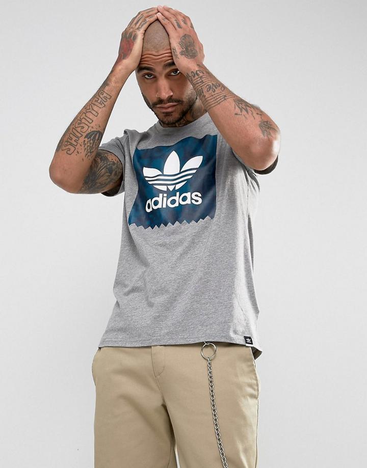 Adidas Skateboarding Quarts Print T-shirt In Gray Br4986 - Gray