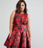 Coast Plus Monique Rose Print Dress - Red