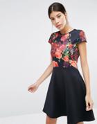 Ted Baker Xylee Skater Dress In Floral Print - Purple
