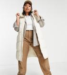 Violet Romance Plus Longline Vest In Stone-neutral