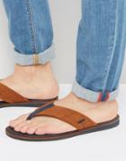Ted Baker Bault Suede Flip Flops - Tan