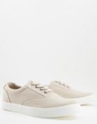 Asos Design Lace-up Canvas Sneakers In Stone-neutral