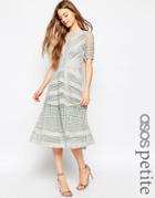 Asos Petite Premium Occasion Lace Midi Dress - Gray
