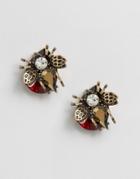 Asos Statement Bug Stud Earrings - Brown