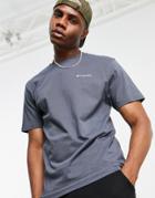 Columbia North Cascades Back Print T-shirt In Gray-grey