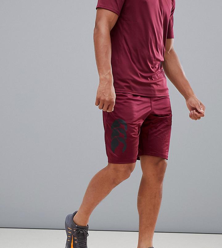 Canterbury Vapodri Stretch Knit Shorts In Burgundy Exclusive To Asos - Red