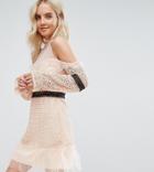 True Decadence Petite Cold Shoulder All Over Lace Mini Dress With Contrast Waistband And Mesh Hem-pink