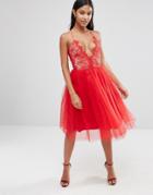 Rare London Tulle Midi Dress With Scallop Lace Bodice - Red