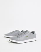 Lacoste Carnaby Evo Leather Sneakers In Gray