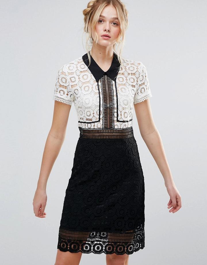 Rd & Koko Monochrome Lace Pencil Dress - Black