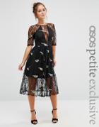 Asos Petite Lace Midi Dress With Bird Embroidery - Black