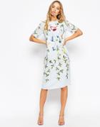 Asos Bird And Floral Embroidered Shift Dress - Blue