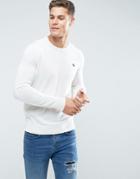 Abercrombie & Fitch Crew Neck Sweater Fine Gauge Icon Logo In Cream - Cream