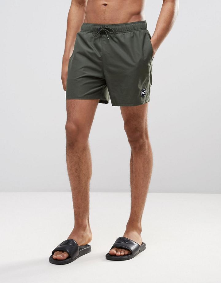 Hollister Guard Swim Shorts Solid Seagull Logo In Green - Green