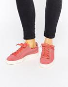 Puma X Careaux Coral Suede Basket Sneakers With Rose Logo - Pink