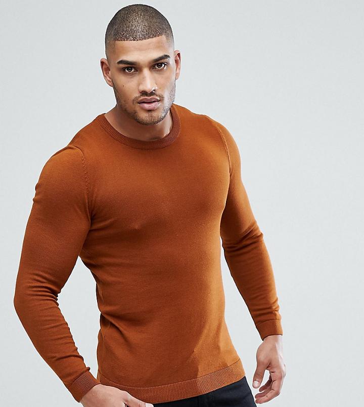 Asos Tall Muscle Fit Cotton Sweater In Tan - Tan