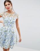 Asos Salon Floral Embroidered Skater Mini Dress - Multi