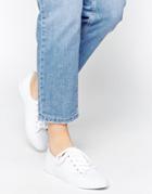 Asos Dagnall Canvas Lace Up Sneakers