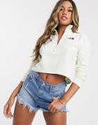 The North Face 100 Glacier 1/4 Zip Cropped Fleece In Cream-white