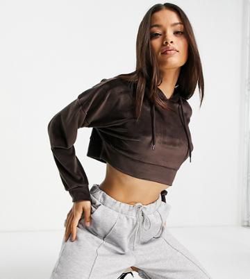 Hoxton Haus Petite Velour Cropped Hoodie In Chocolate Brown - Part Of A Set
