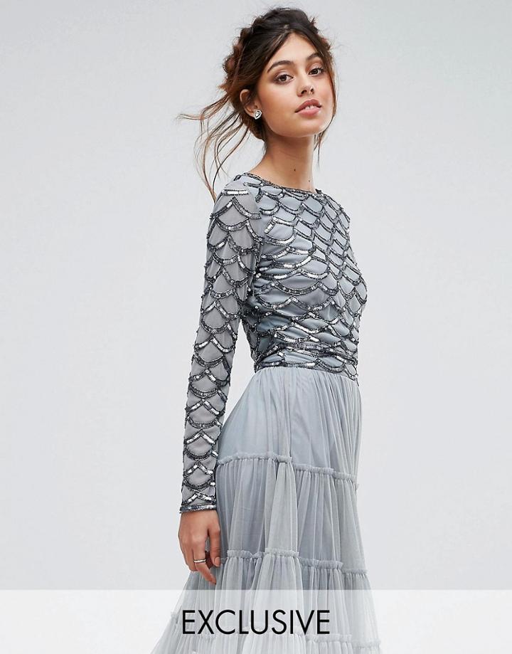 Lace & Beads Scallop Embellished Crop Top With Long Sleeve - Gray