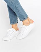 Asos Darby Lace Up Sneakers - White