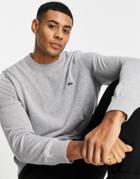 Lacoste Logo Crew Neck Knit Sweater In Gray