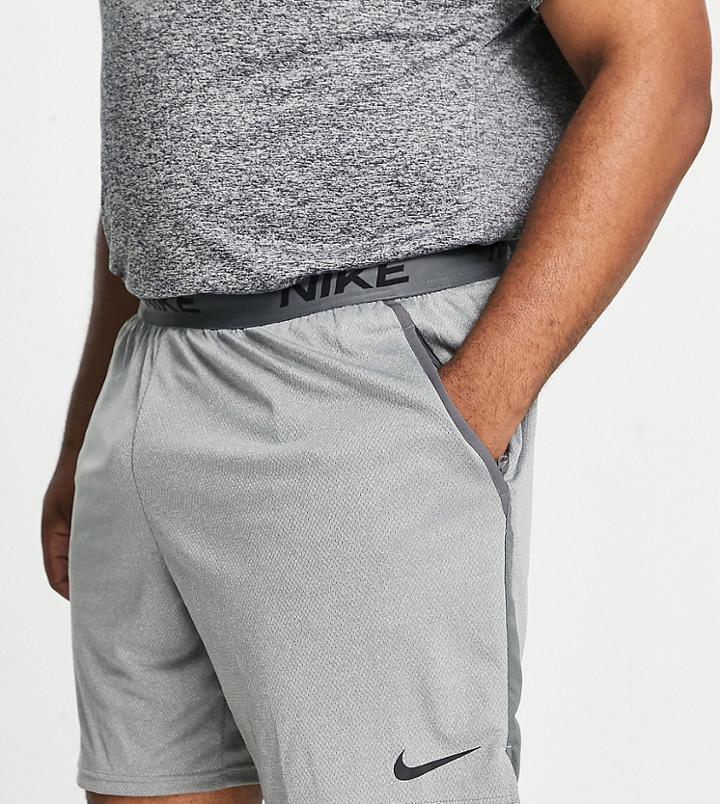 Nike Training Plus Hybrid Veneer Shorts In Gray