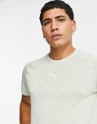 Puma Train Tech Evoknit T-shirt In Desert Sage-green