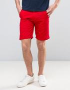 Solid Chino Shorts - Red
