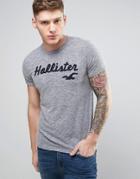 Hollister Team Logo T-shirt Slim Fit Sleeve Stripe In Gray Marl - Gray