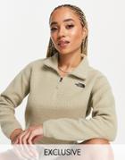 The North Face Sherpa Cropped Fleece In Beige Exclusive At Asos-neutral