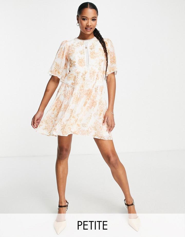 Ever New Petite High Neck Lace Mini Dress In Apricot Floral-multi
