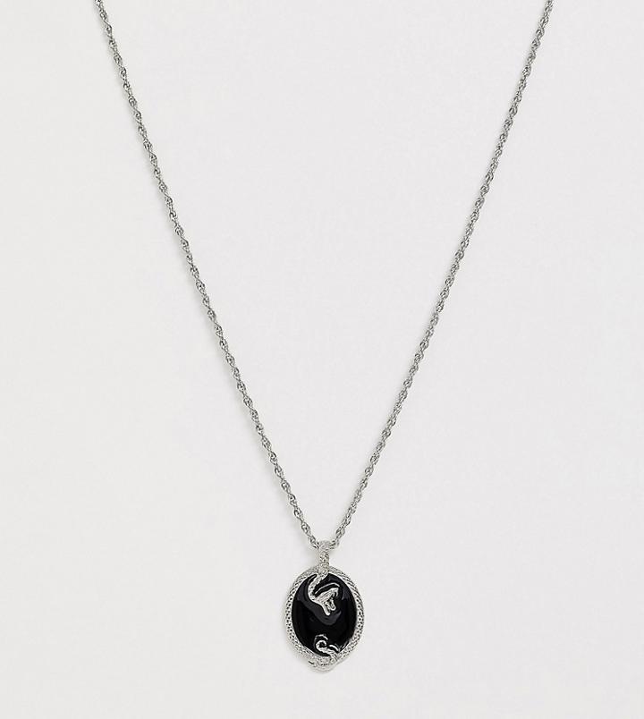 Craftd Snake Pendant Neck Chain In Silver