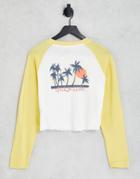 Quiksilver Color Block Raglan Long Sleeve T-shirt In White/yellow