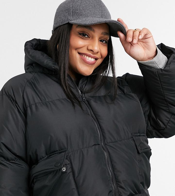 Threadbare Curve Tulip Cropped Padded Jacket In Black