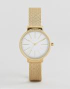 Skagen Gold Ancher Mesh Watch Skw2477 - Gold