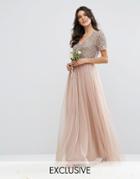 Maya V Neck Maxi Tulle Dress With Tonal Delicate Sequins - Pink