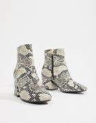 Asos Design Roma Ankle Boots In Snake-multi