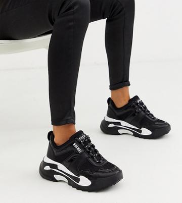 Nokwol Exclusive Money Mesh And Croc Sneaker In Black