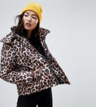 Na-kd Leopard Print Padded Jacket In Brown
