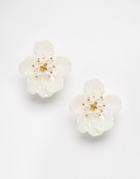 Asos Big Faux Pearl Flower Earrings - Cream