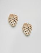 Asos Design Palm Leaf Stud Earrings - Gold