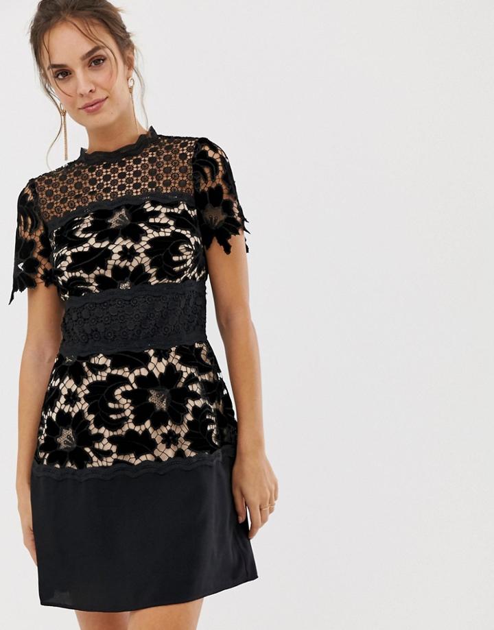 Coast Lace Shift Block Dress - Black