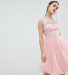 Chi Chi London Petite Midi Tulle Prom Dress With Premium Lace Bodice-pink