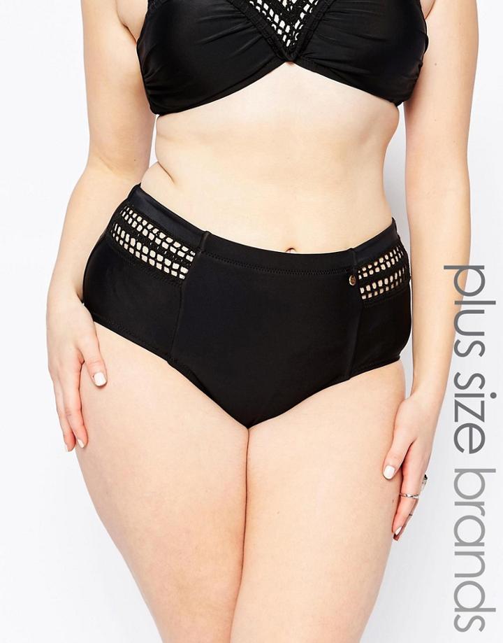 Raisins Plus Montego High Waist Bikini Bottom - Black