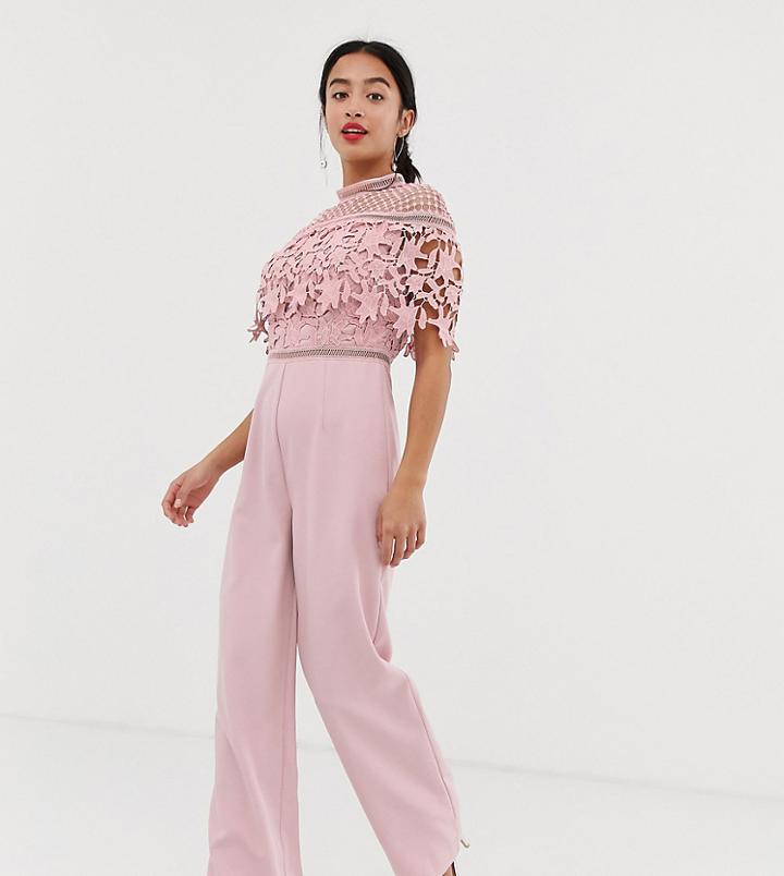 Chi Chi London Petite High Neck Lace Top Jumpsuit In Pink