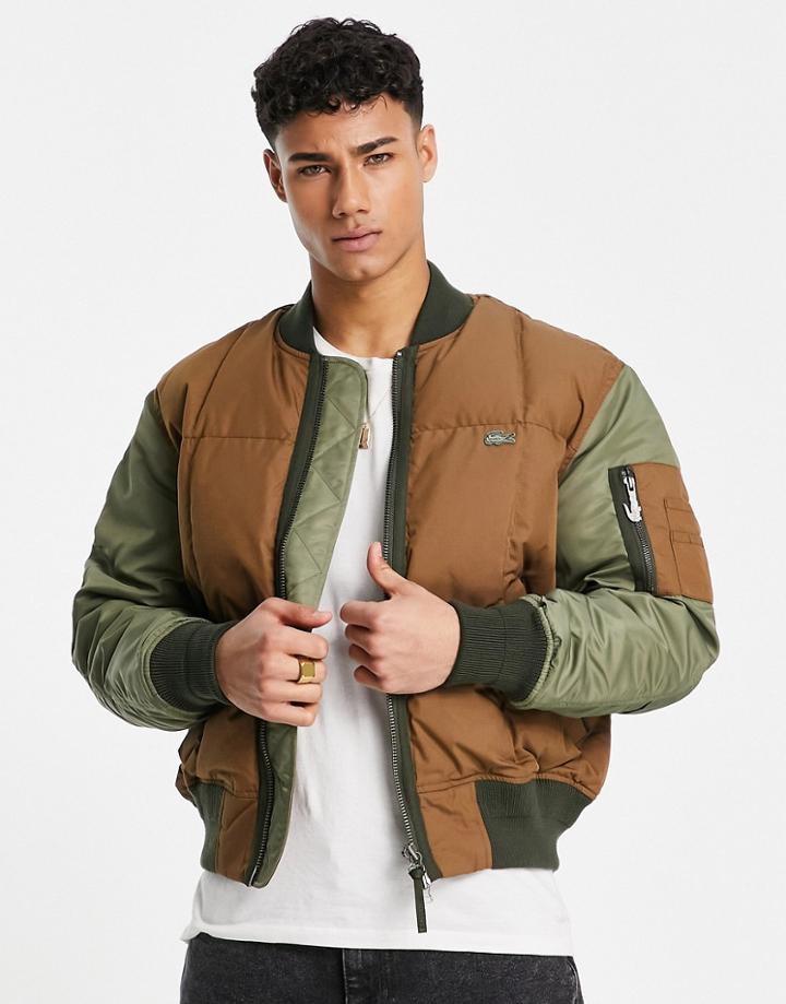 Lacoste Bomber Jacket-brown